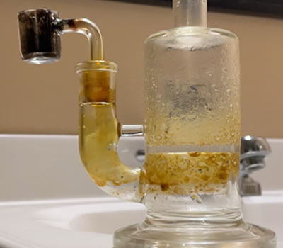 Organic bong cleaner